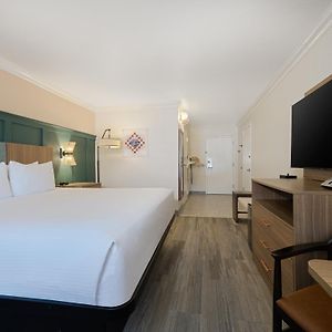 Chambre Standarde Lit King-Size